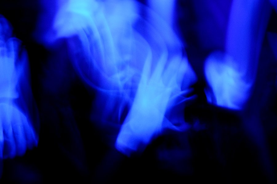 81 DSC9717